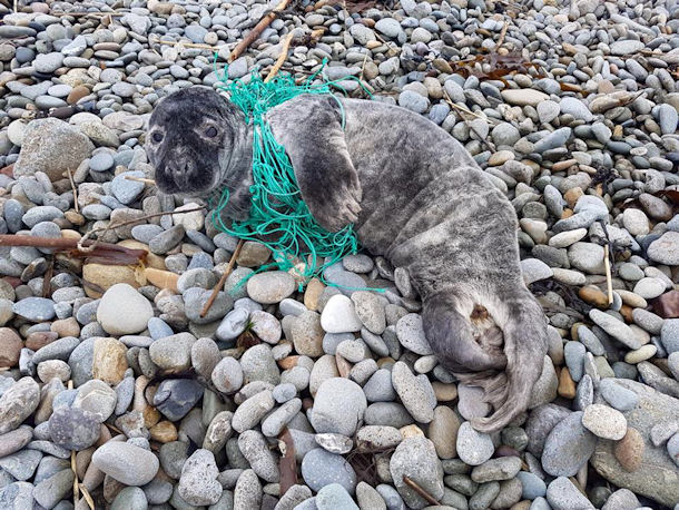 Ghostfishing