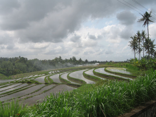 Bali