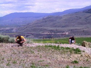 Fossiliensuche in den McAbee Fossil Beds