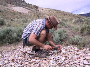 McAbee Fossil Beds