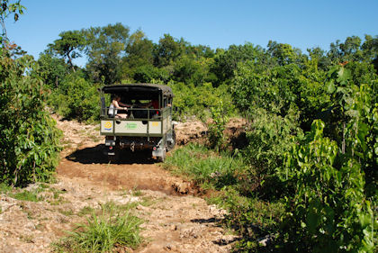 Cenote Mexico