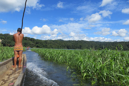 Regenwald Panama