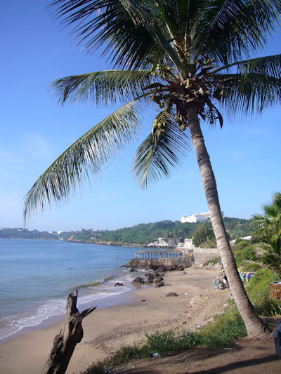 Tauchen Senegal