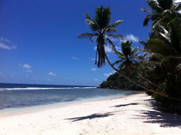 Tauchen Seychellen