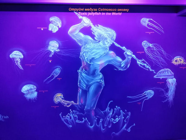 Museum of Jellyfish Kiew Ukraine