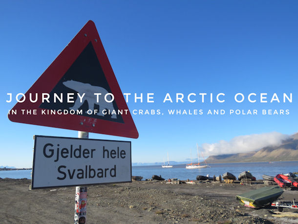 Diving Spitsbergen