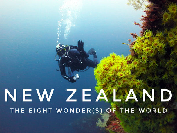 Diving New Zealand
