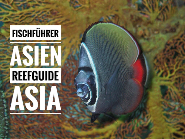 Reef Guide Asia