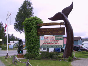 Whale watching in Kanada